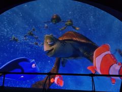 -海底巡游艇:尼莫和好友的海洋世界