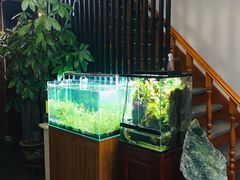 -繁花足道(梅江店)