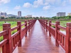 -天龙顶山地公园