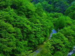 -光雾山旅游景区
