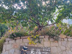 -荒度咖啡(北九水店)