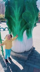 -大望京儿童游乐场