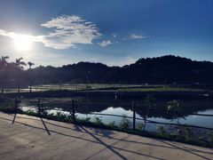 -芦仙山景区-飞越丛林探险乐园