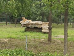 -秦皇岛野生动物园