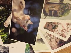 猫的天空之城概念书店(西塘古镇店)-猫的天空之城概念书店(西塘古镇店)