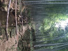 iphone_upload_pic-会稽山峡洞漂流-上青古道