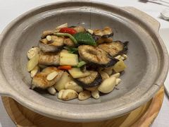 -新雅粤菜馆(南京东路店)