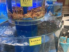 -新海渔港·胶东海鲜家常菜·家宴(奥体中心店)