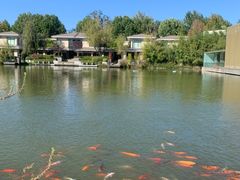 -春晖园度假酒店温泉