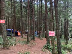 -重庆睡佛山森林公园