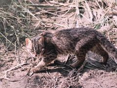 -野鸭湖国家湿地公园