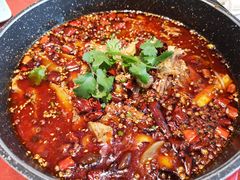 -赵小姐丨新中餐(曲江店)