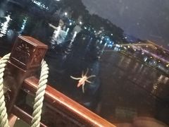 -西湖外事游船(湖滨二公园外事游船码头)