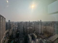 -万绿园