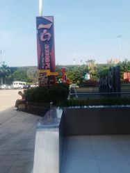 点击看大图 -金棕榈