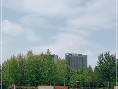 -大望京公园