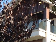 房间-余姚阳明温泉山庄