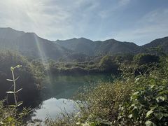 -龙坞茶村