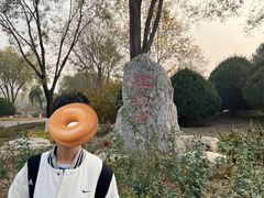 -燕郊植物园