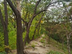 -元大都城垣遗址公园