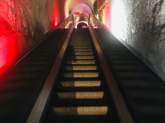 -青岛葡萄酒博物馆