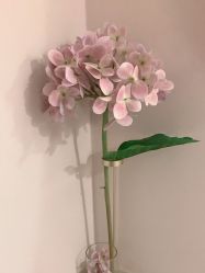 点击看大图 -蕾蕾美颜美容美体
