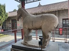 -西安碑林博物馆