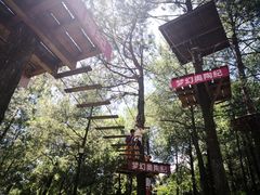 -梦幻奥陶纪景区