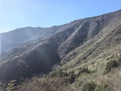 -北京鹫峰国家森林公园