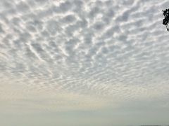-巢湖姥山岛