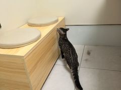 -达爱动物医院·犬猫分区·CT·复杂眼科(远洋山水分院)