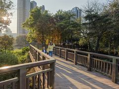 -广东花都湖国家湿地公园
