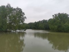 -大湾区中央湿地公园