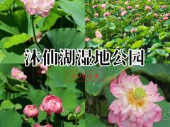 -沐仙湖湿地公园