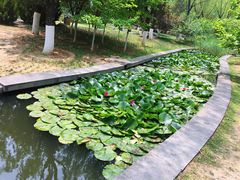 -济南植物园