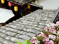 -院8里·少城记忆老川菜(宽窄巷子店)