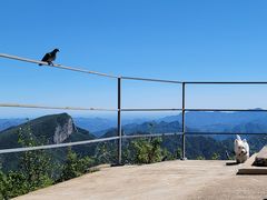 -白草畔自然风景区