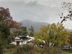 -塔川景区