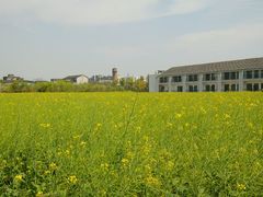 android_upload_pic-运河游船(武林门码头)