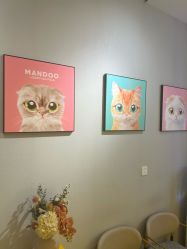 -洗脸猫·洗脸吧