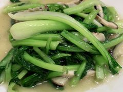 香菇青菜-清真·伊清阁餐厅