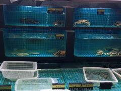 水产区-梦都海鲜酒家(万达广场江桥店)