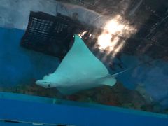 -常州海昌海洋探索馆