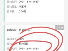 -凯特喵百思猫专科医院