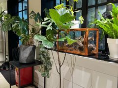 -一尺花园(安和花园店)