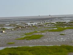 -碧海金沙
