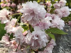 -昆嵛山石门里景区