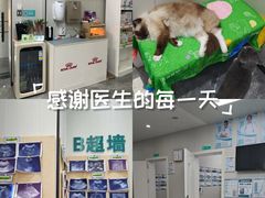 -东莞宠友24H宠物中心医院·转诊夜诊·异宠(新河北路院)