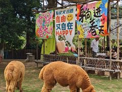 -杭州千岛湖开元度假村