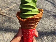 -豆政(金閣寺境内売店)